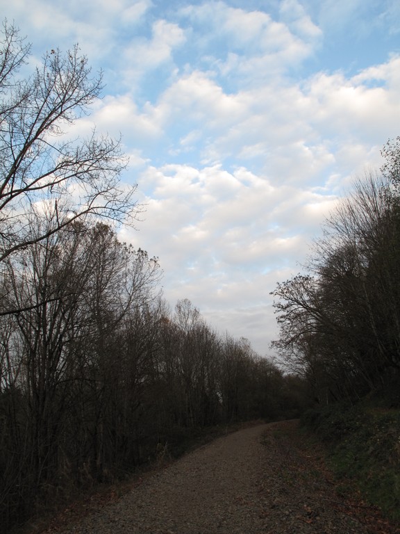 Cross Kirkland Corridor Trail — Washington Trails Association